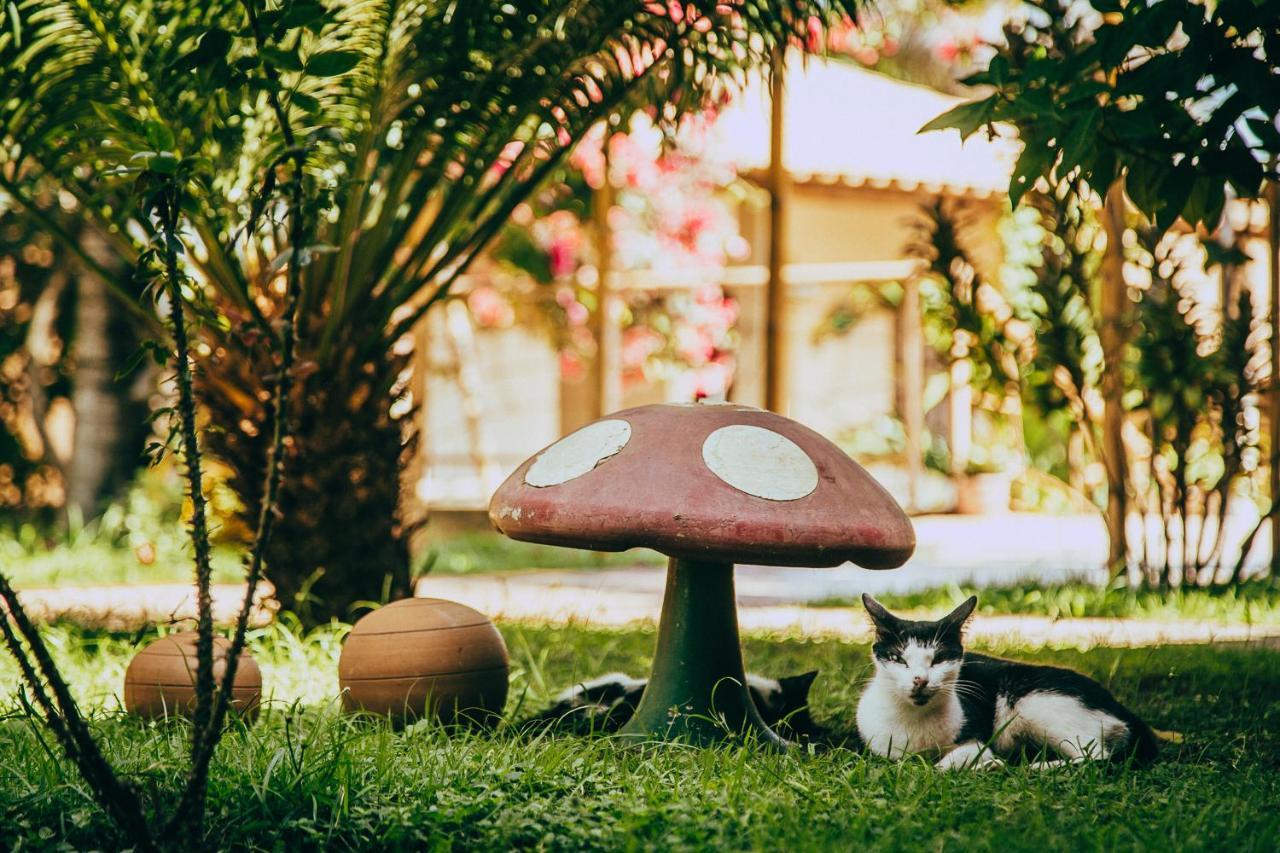 Pousada Boa Vista Barreirinhas Bagian luar foto